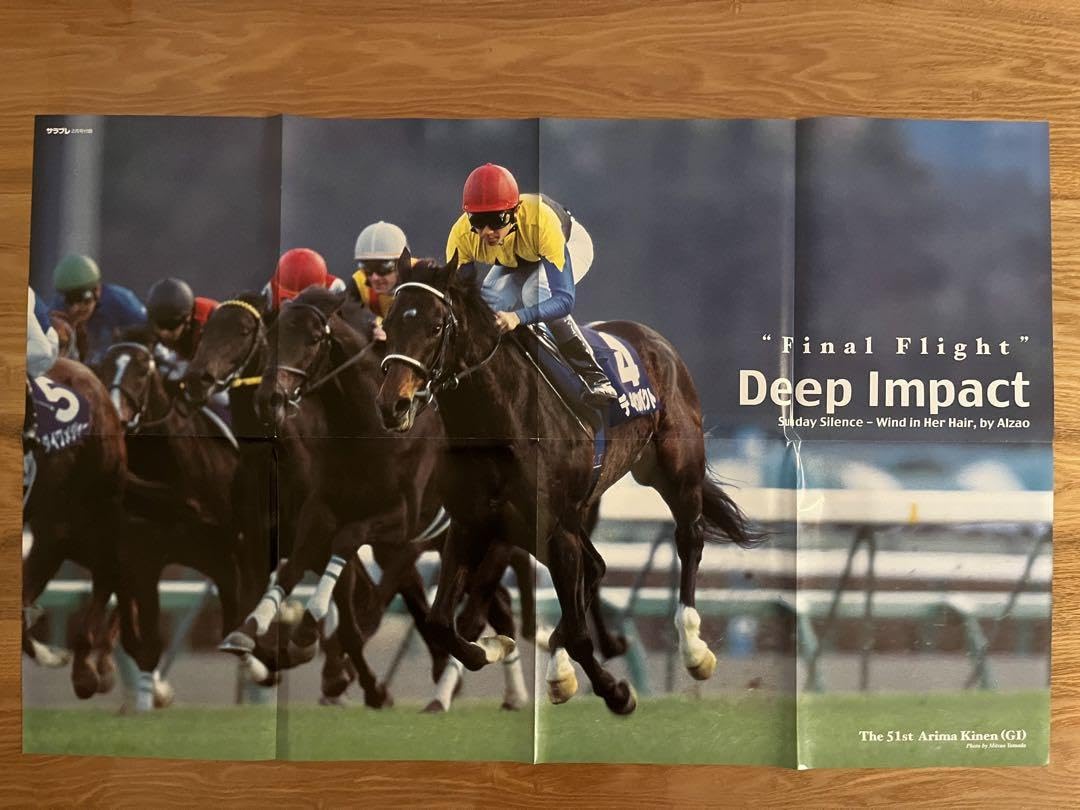 Amazon.co.jp: ディープインパクト 有馬記念 ポスター サラブレ